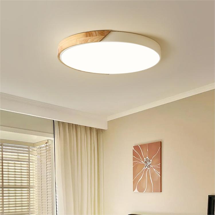 Colorful Simple LED Round Ceiling Lights 