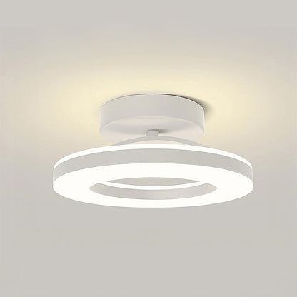 Moderne IJzeren LED Plafondlamp