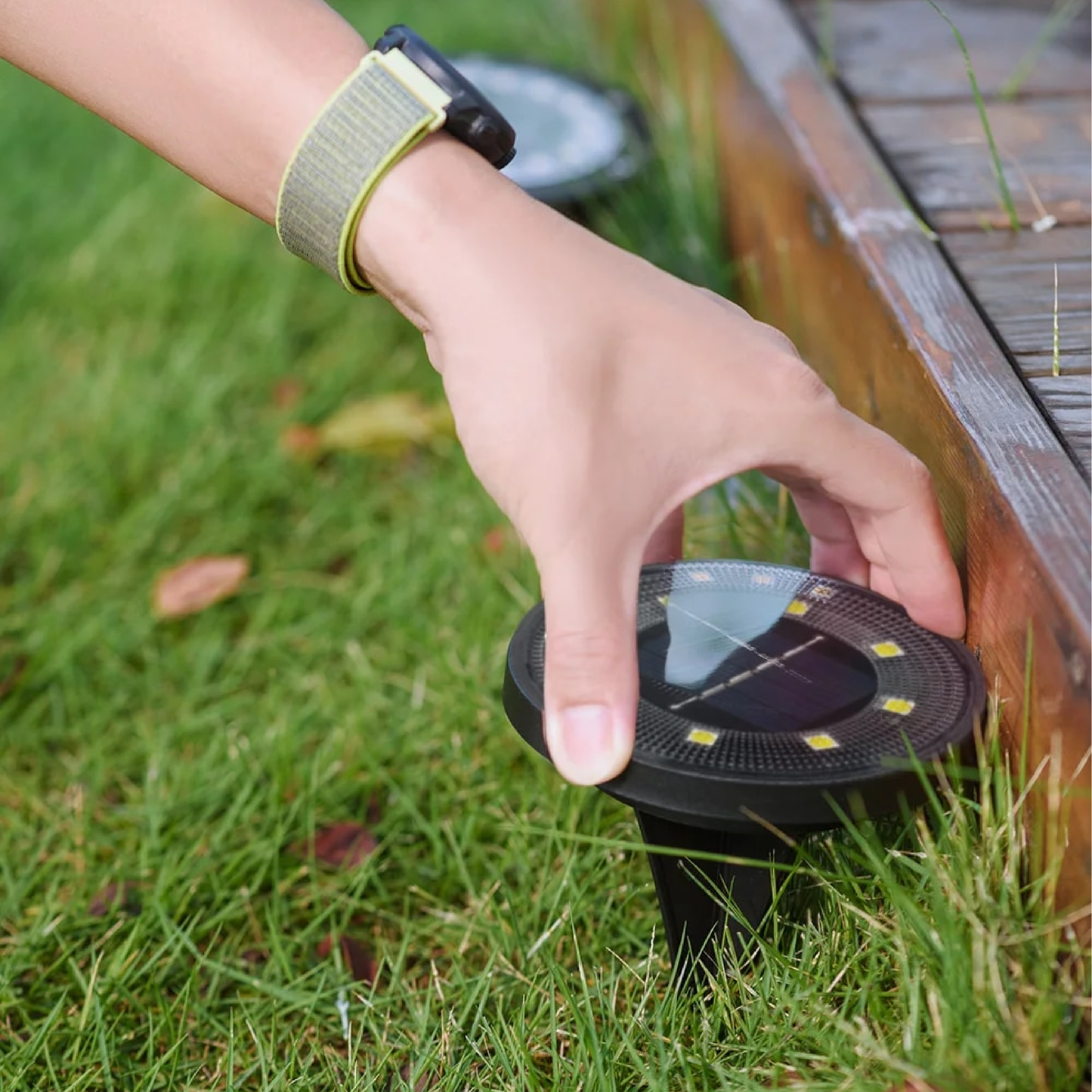 Sconeys™ | Waterproof Solar Lights