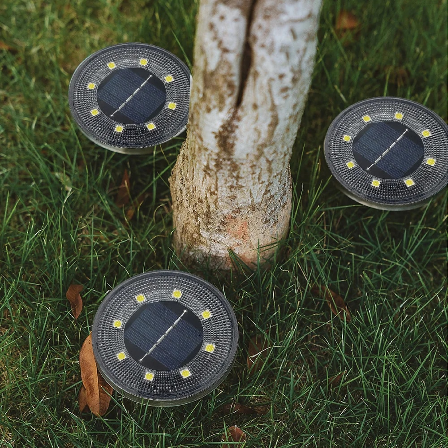 Sconeys™ | Waterproof Solar Lights