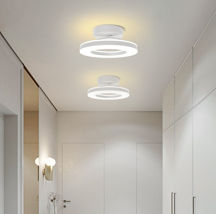 Moderne IJzeren LED Plafondlamp