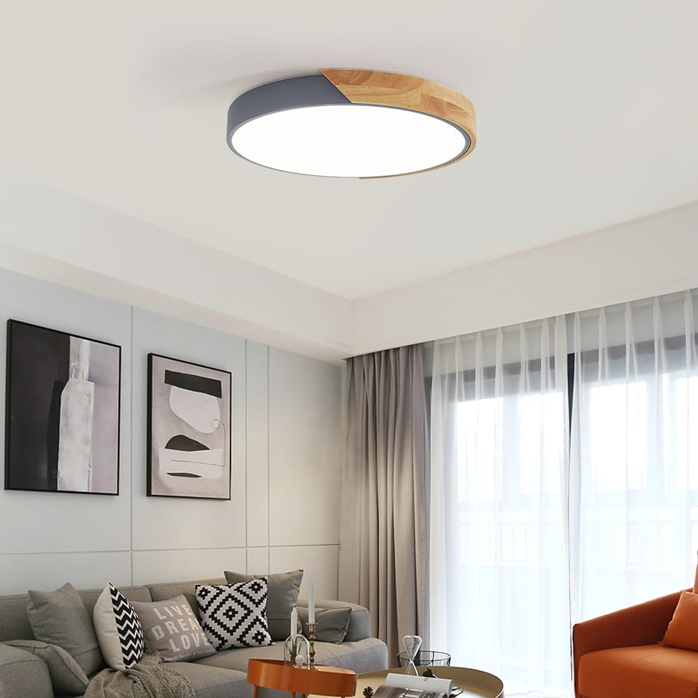 Colorful Simple LED Round Ceiling Lights 