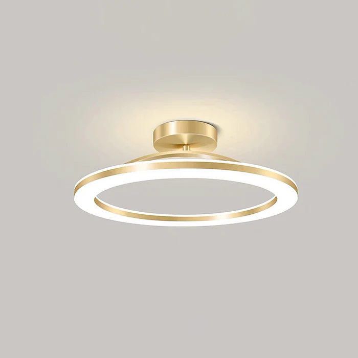 Moderne IJzeren LED Plafondlamp