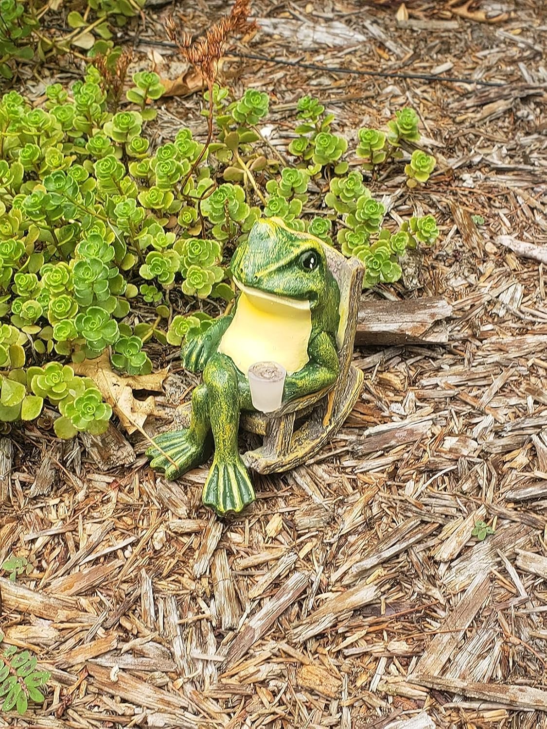 Glowing garden frog 