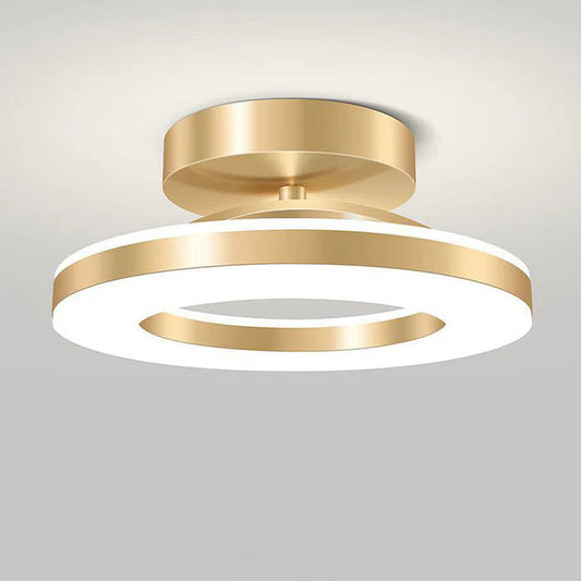 Modern Iron LED Ceiling Lamp 