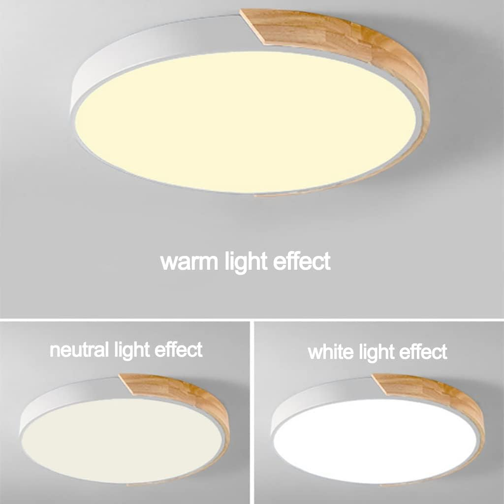 Colorful Simple LED Round Ceiling Lights 