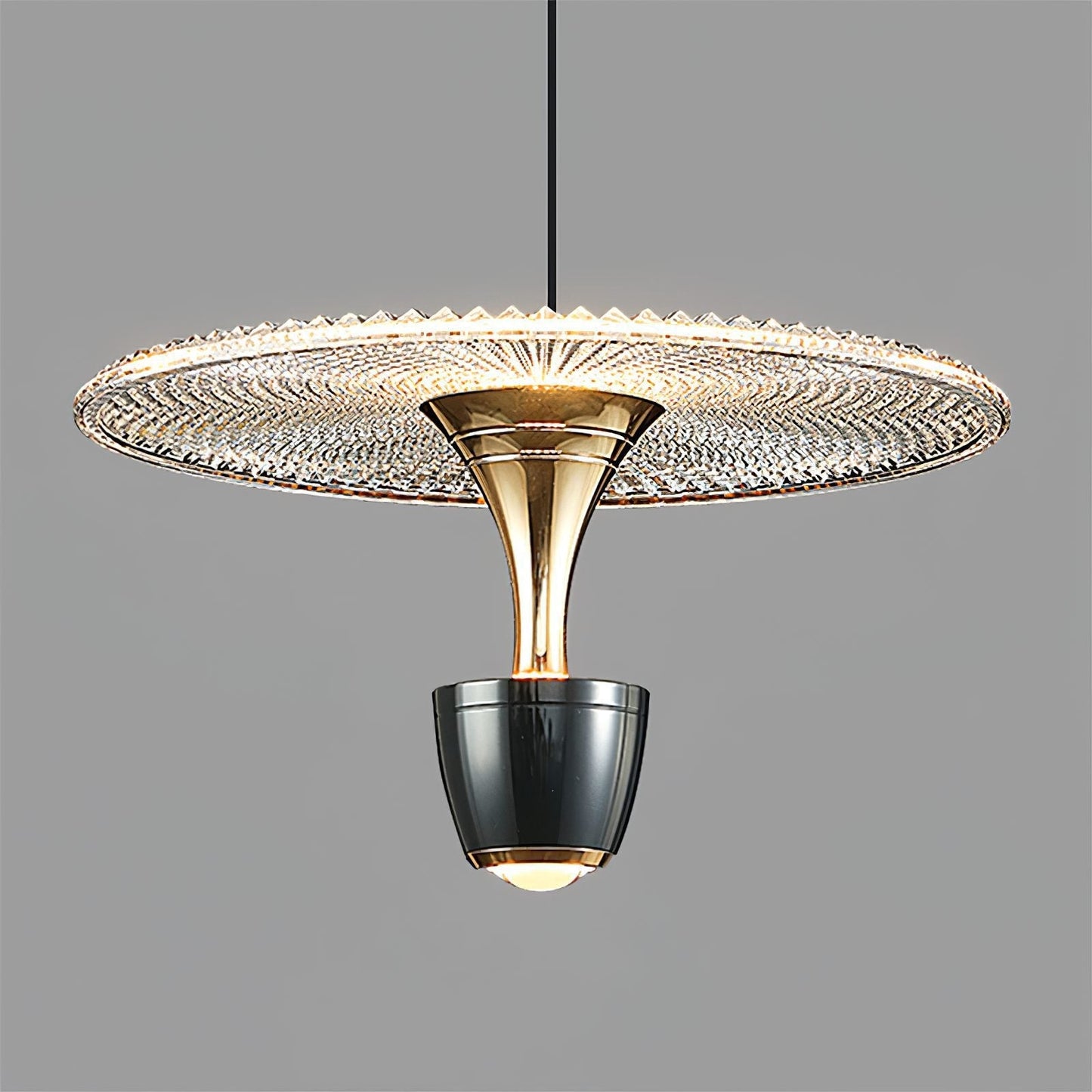 Modern LED Disc Pendant Lamp