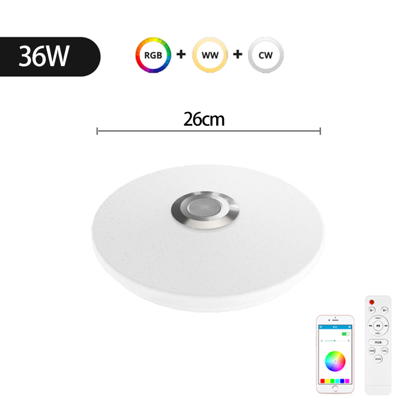 Smart modern RGB ceiling lamp 