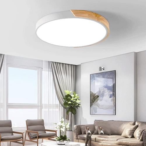 Colorful Simple LED Round Ceiling Lights 