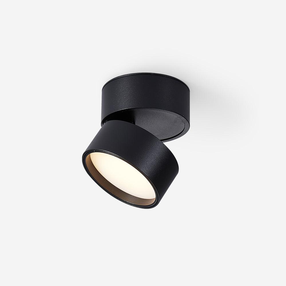 Surface-mounted ceiling lamp Savvina