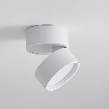 Surface-mounted ceiling lamp Savvina