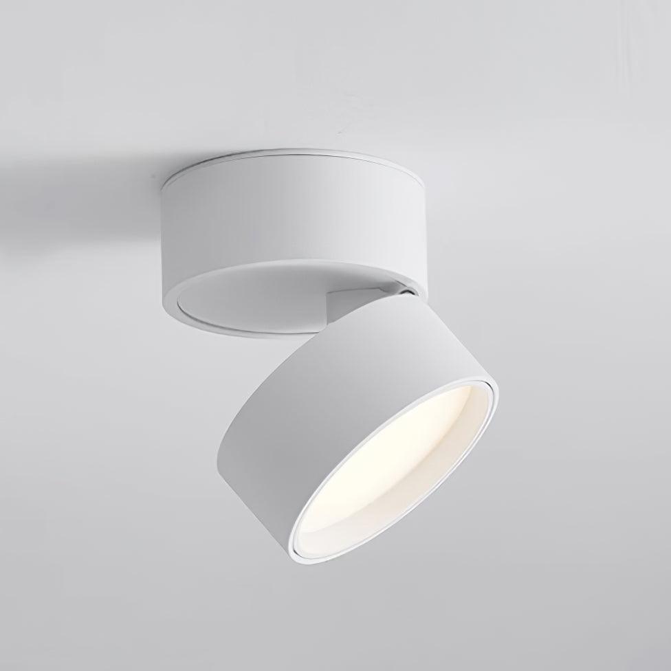 Surface-mounted ceiling lamp Savvina