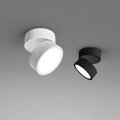 Surface-mounted ceiling lamp Savvina