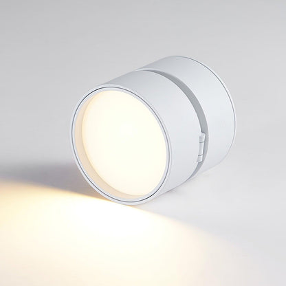 Surface-mounted ceiling lamp Savvina