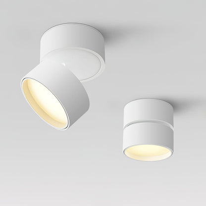 Surface-mounted ceiling lamp Savvina