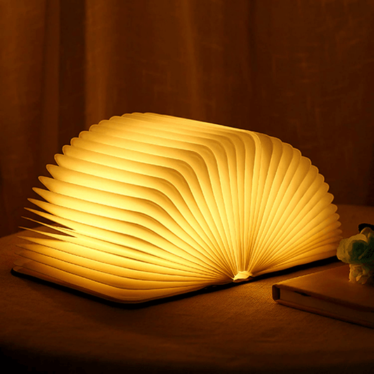 Enchanted book lamp 