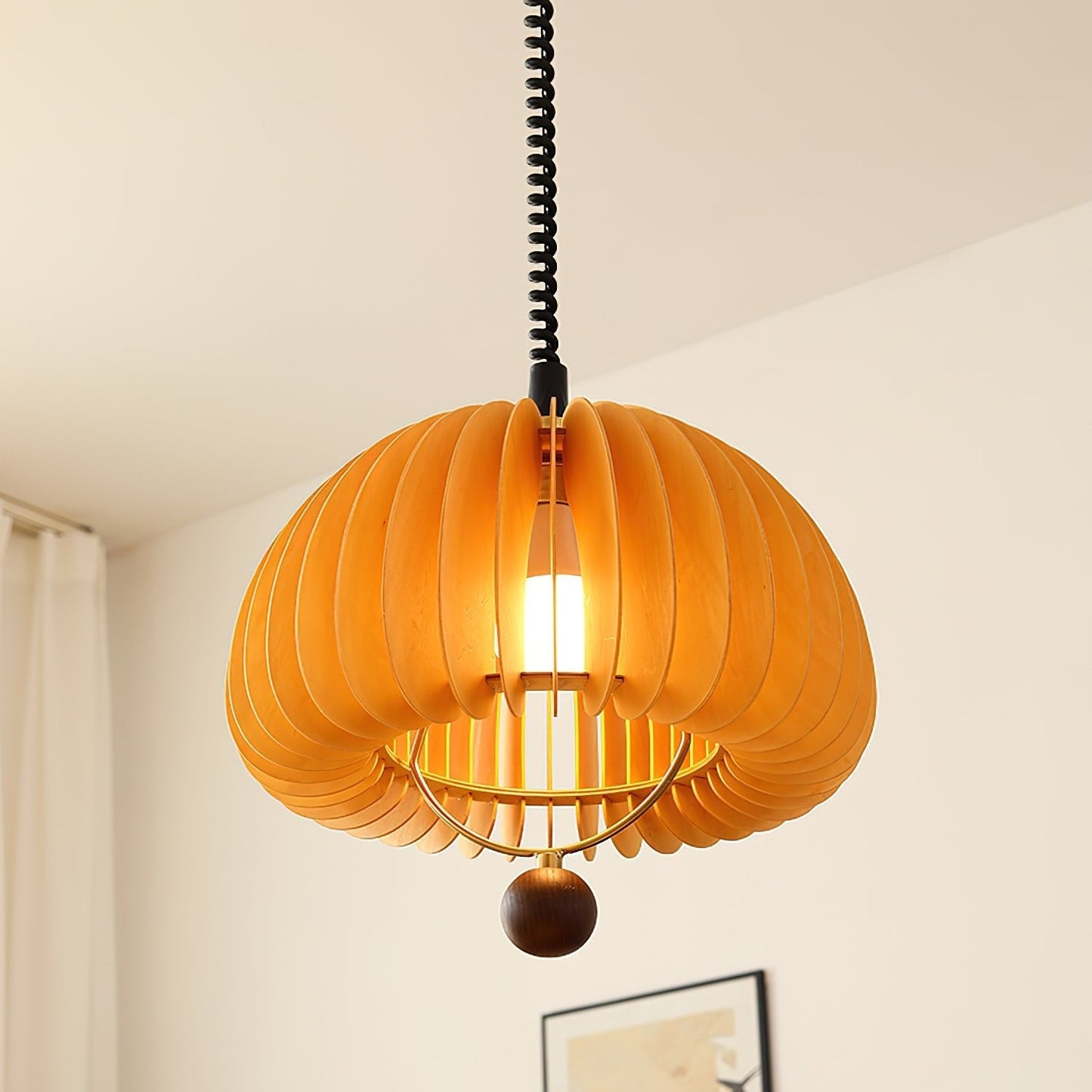 Pumpkin Adjustable Pendant Light