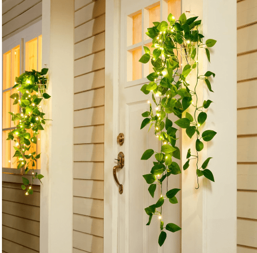 Illuminated ivy