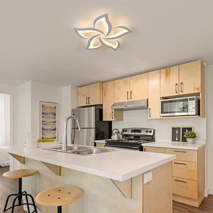 IronLume™ LED Ceiling Light