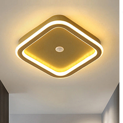 Menselijke PIR Motion Sensor LED Plafondlamp