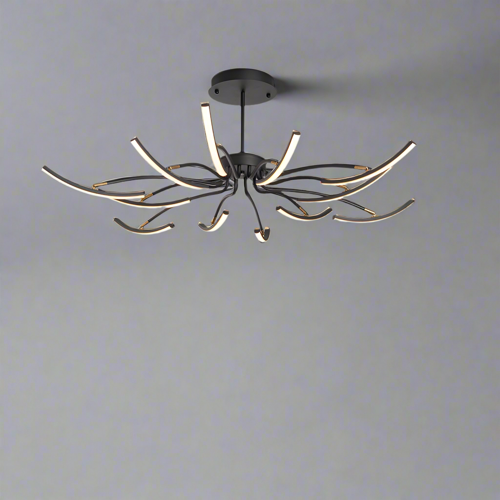 Luster Design Ceiling Lamp 