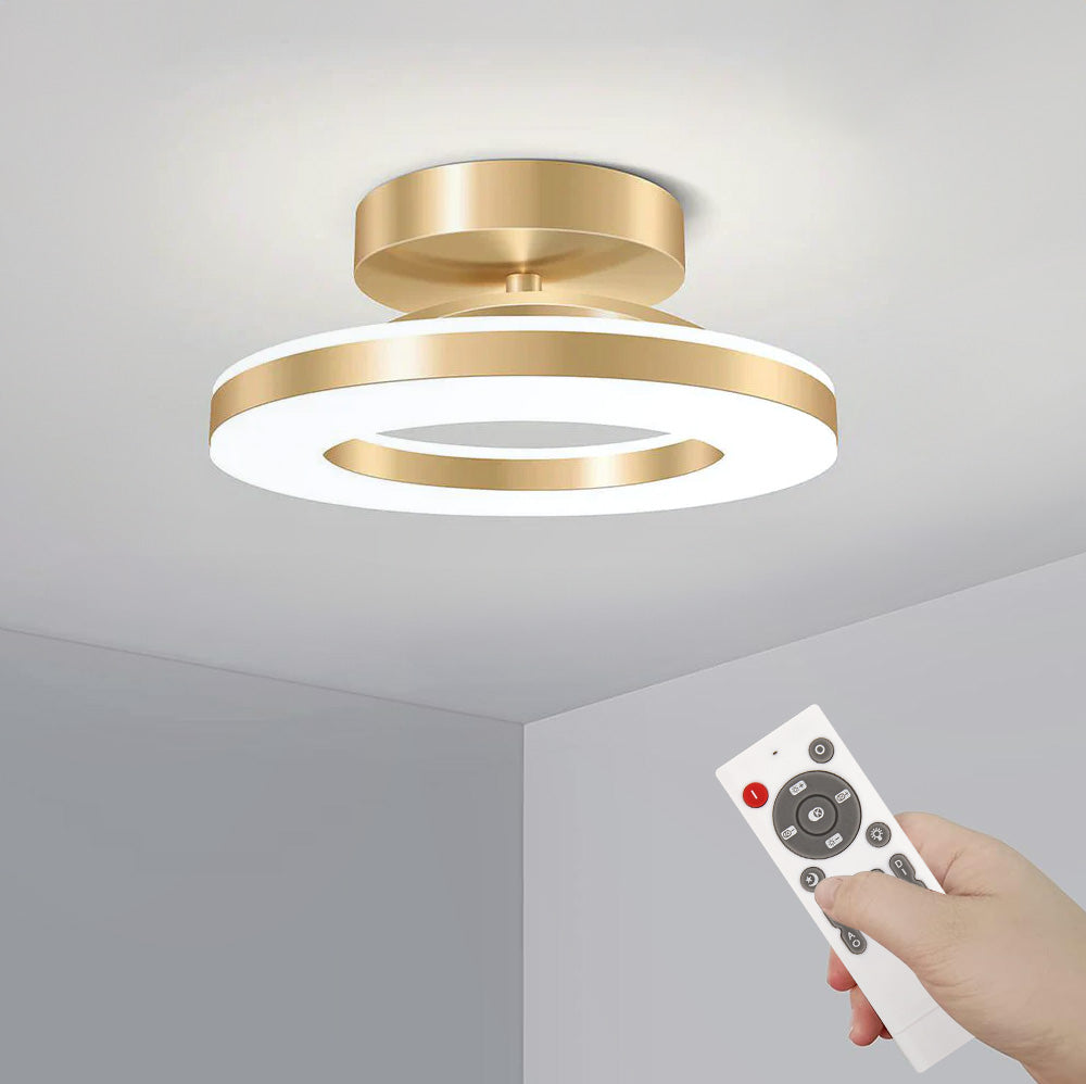 Moderne IJzeren LED Plafondlamp