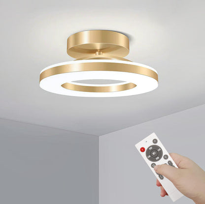 Moderne IJzeren LED Plafondlamp