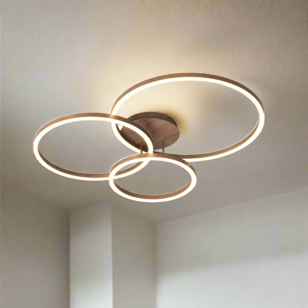 Elegant Ring Ceiling Light